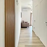 S&v Maslenica