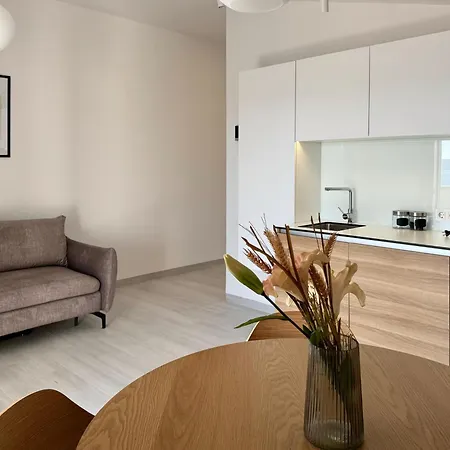S&v Apartament *